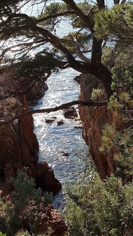 Saint Raphael, Cap Esterel Le Hameau. Vue Mer Buitenkant foto